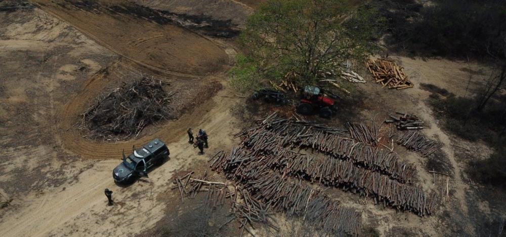 Bahia: Inema detecta desmatamento em área equivalente a 590 campos de futebol