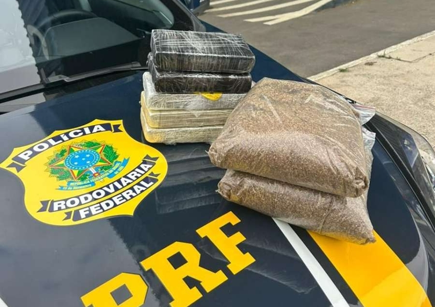 Região: PRF apreende cocaína e K9 em ônibus com duas passageiras que não se conheciam