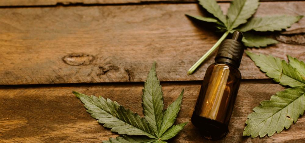 Senado acata sugestão popular que libera uso medicinal da cannabis