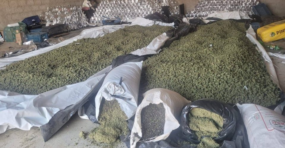 Polícia apreende mais de duas toneladas de maconha em Sebastião Laranjeiras