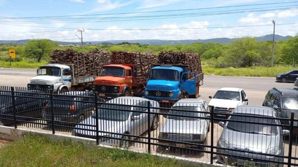 Polícia apreende carga de madeira ilegal na BR‑030 em Palmas de Monte Alto