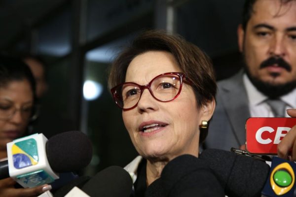 Preço da carne não vai baixar, diz ministra da Agricultura