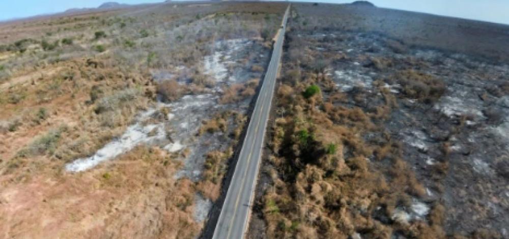 Bombeiros combatem incêndios florestais em municípios do Oeste da Bahia