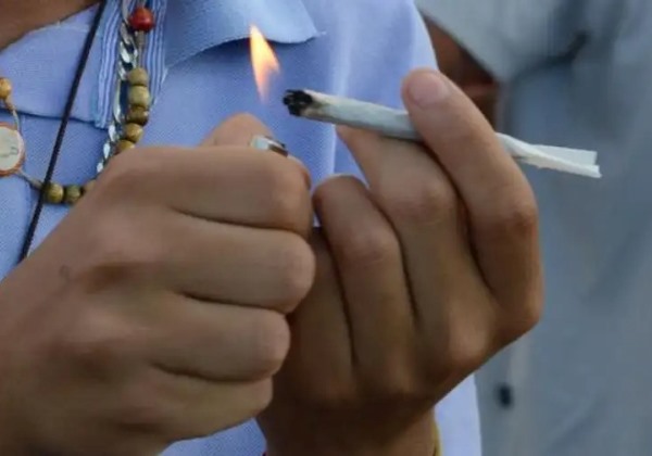 STF decide sobre quantidade de maconha para diferenciar uso pessoal e tráfico