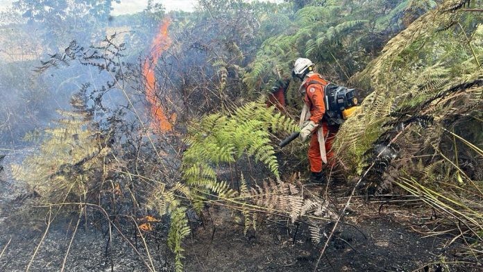 200 bombeiros são mobilizados para combater incêndios florestais na região