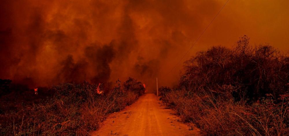 PF tem provas suficientes para indiciar fazendeiros por queimadas no Pantanal