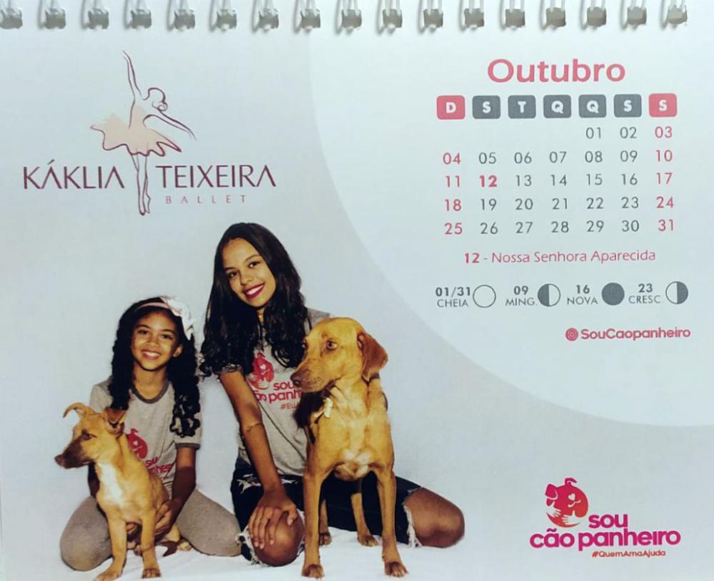 Caetité: ‘Sou cão panheiro’ atua no trato com animas em situação de rua e instalados no canil municipal 