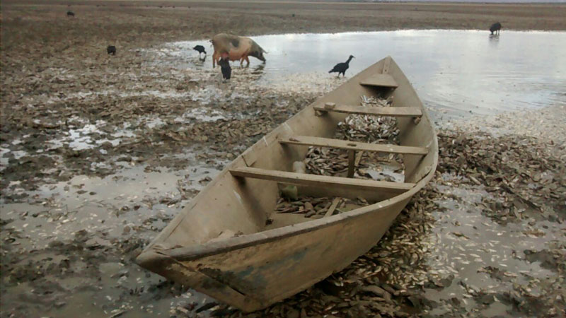 Maior lagoa do São Francisco seca e MP convoca reunião emergencial