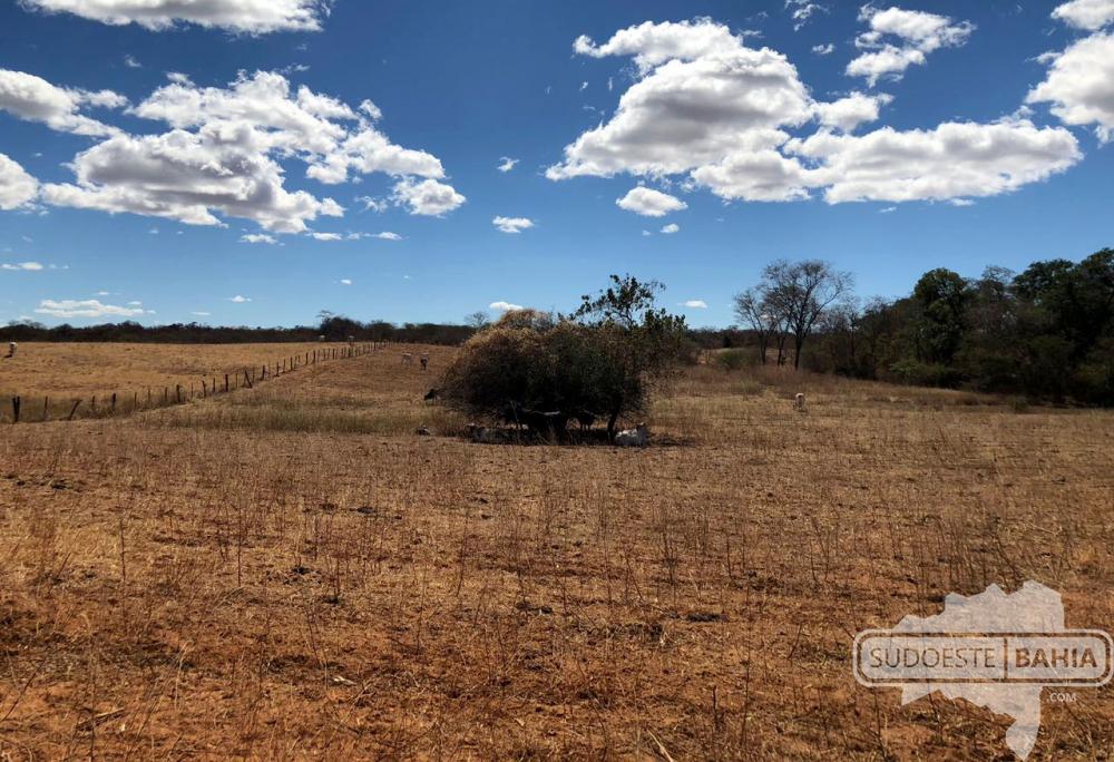 Seca: Caetité e mais 146 municípios baianos têm Situação de Emergência reconhecida pelo Governo Federal