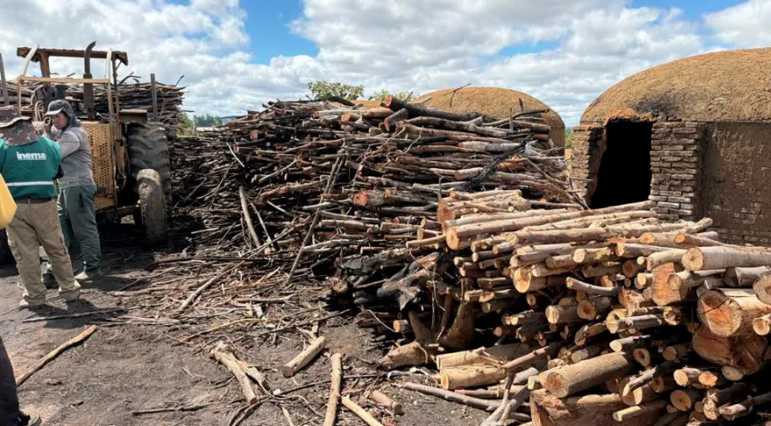 MP-BA aponta 205 hectares de Mata Atlântica desmatados ilegalmente na Bahia