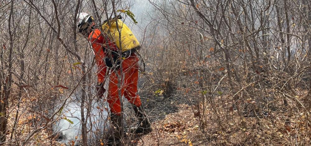 Em meio à temporada intensa de incêndios, focos diminuem na Bahia