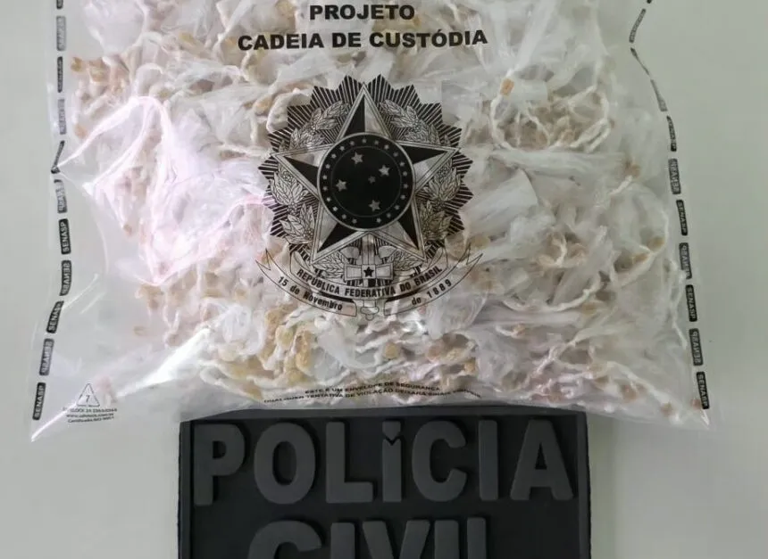 Região sudoeste: Polícia apreende mais de 2.600 pedras de crack em operação
