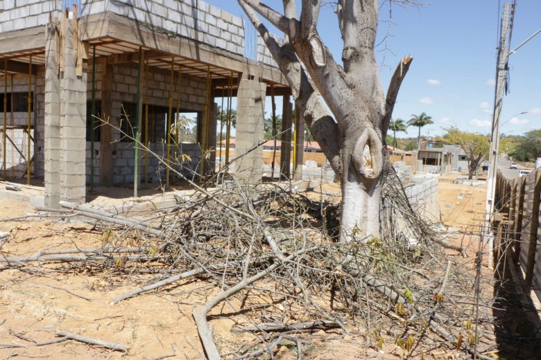 Prefeitura de Igaporã autuou e aplicou multa sobre empresa que destruiu árvores em praça pública