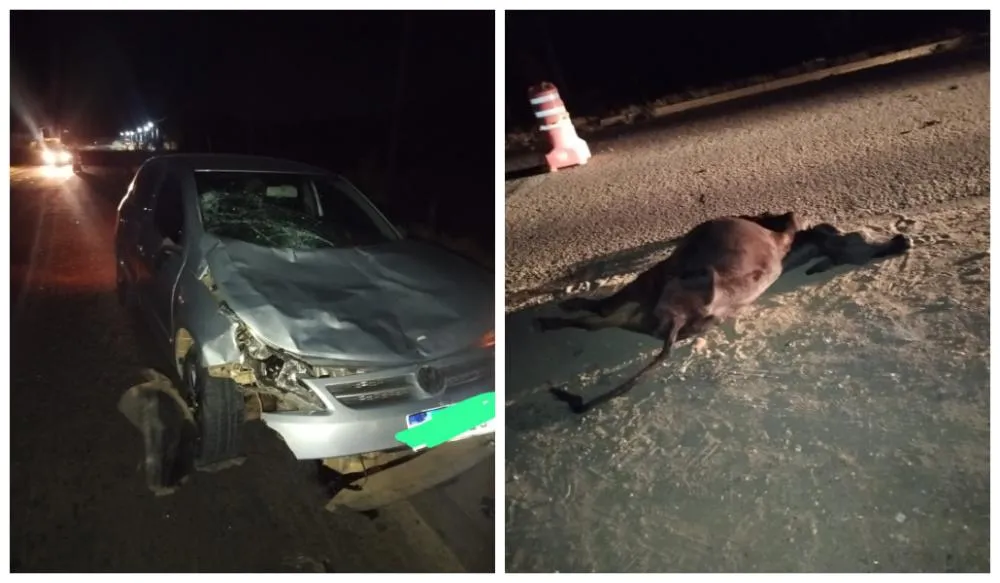 Automóvel colide com vaca solta na BR-122, em Guanambi