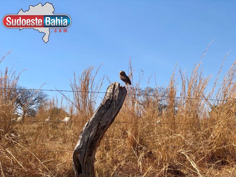 Mulher morre após receber descarga elétrica de cerca na zona rural de Igaporã 