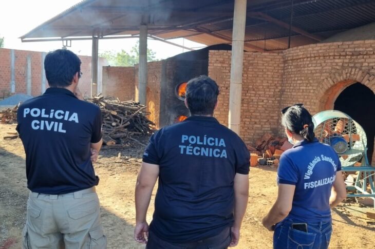 Polícia Civil incinera mais de meia tonelada de maconha apreendida em Ibiassucê