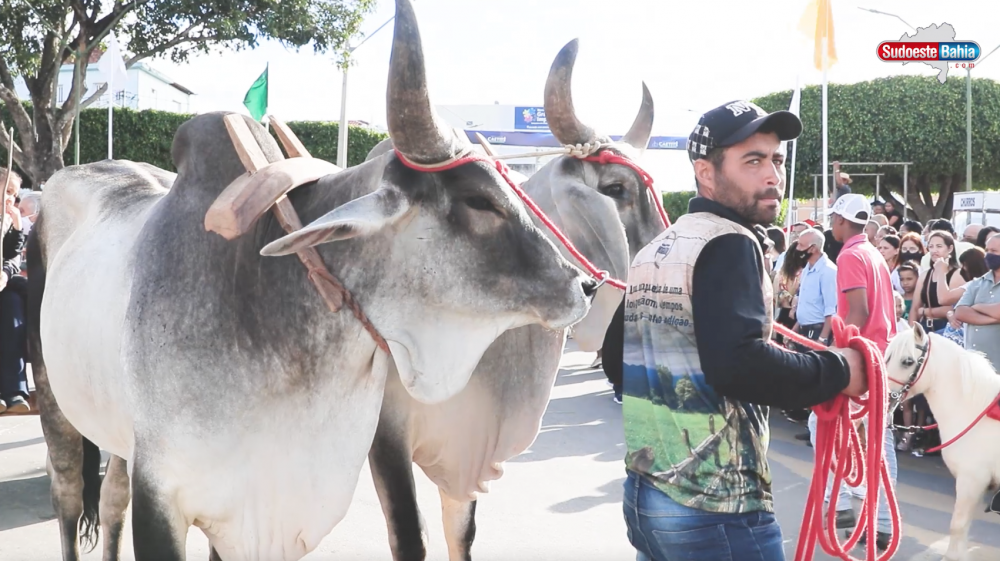 Diocese de Caetité: Procissão dos Carros de Boi reúne milhares de fiéis para louvar Senhora Sant´Ana