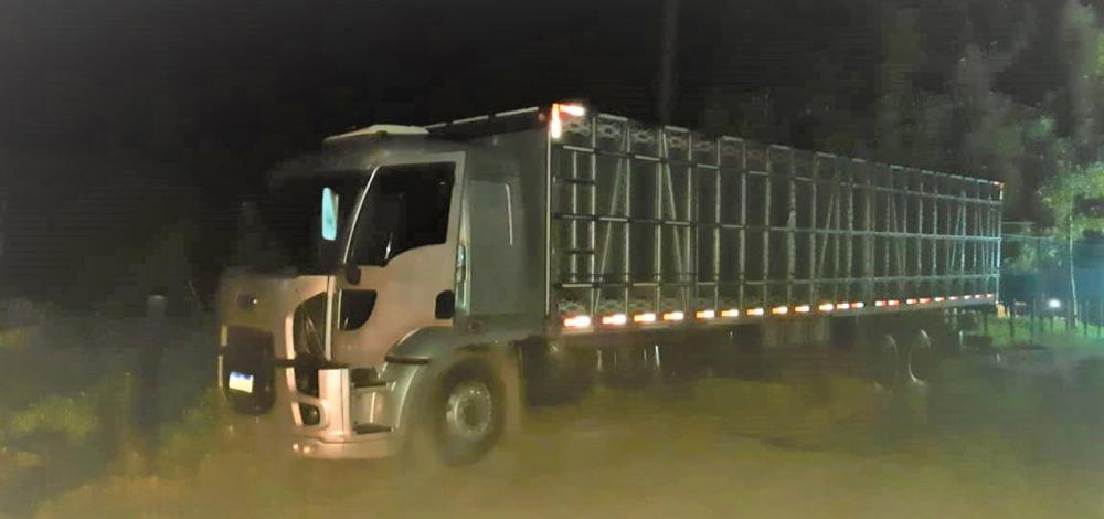 Bahia: PRF prende suspeitos de roubo de animais 