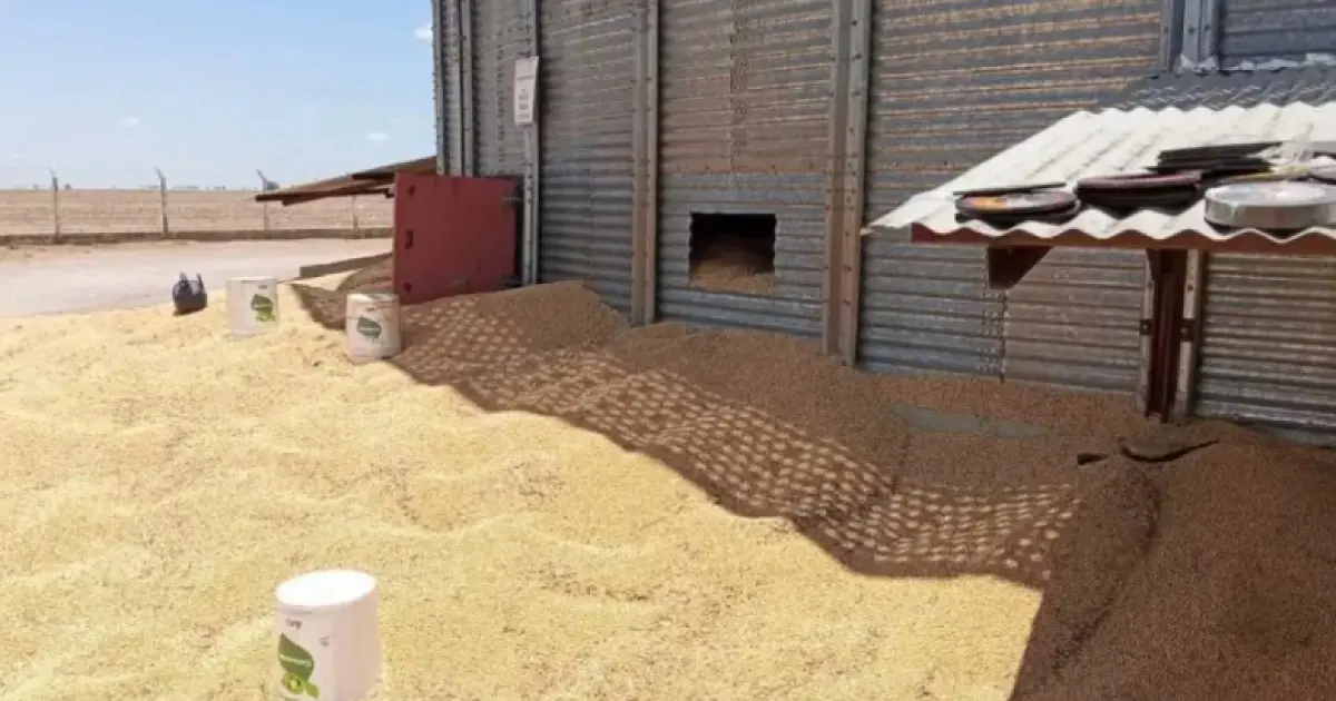 Trabalhador morre soterrado e outro fica ferido em fazenda no oeste da Bahia