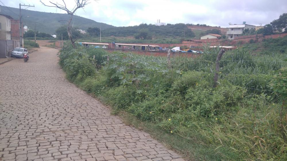 Mato alto tem servido de esconderijo para assaltantes em Caetité 