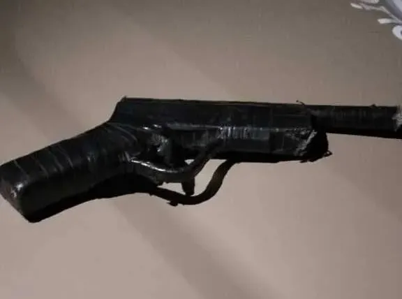 Dupla é presa após invadir casa e agredir moradores em Pindaí