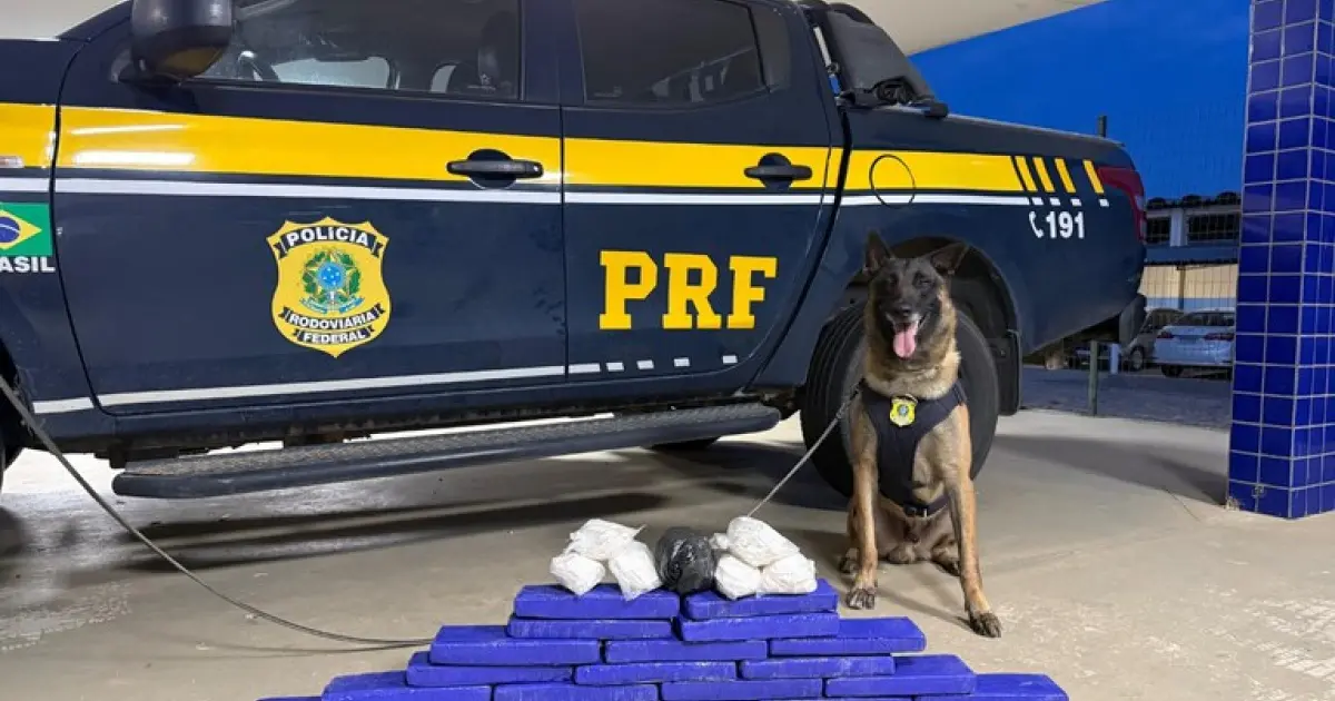 PRF apreende quase 15 kg de drogas em ônibus vindo de SP em Vitória da Conquista
