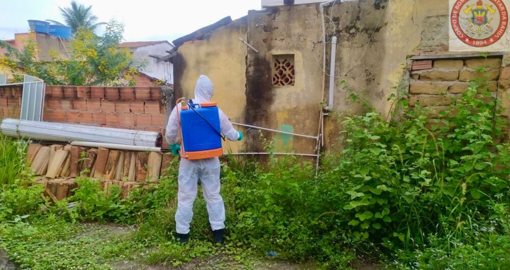 Região: Municípios em epidemia de dengue intensificam ações de combate ao mosquito