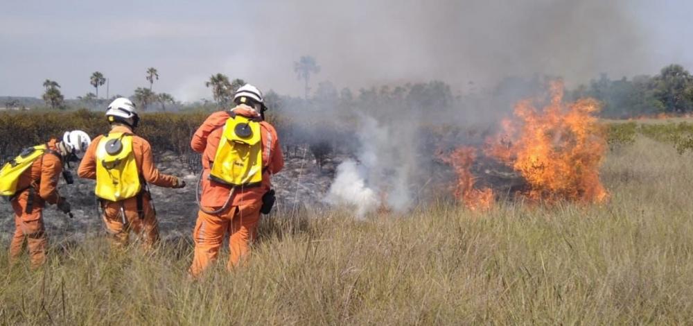 Queimadas chegam ao 15º dia no oeste da Bahia