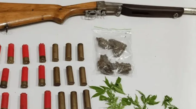 Polícia apreende arma, munições e pés de maconha em operação conjunta em Botuporã
