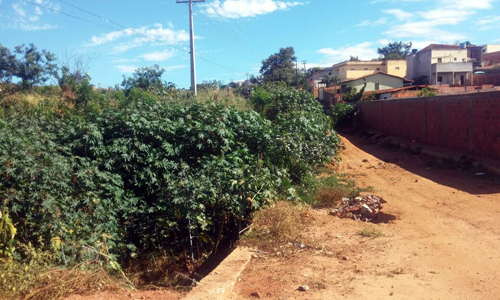 Moradores reclamam de terreno baldio no bairro Santo Antônio em Caetité 