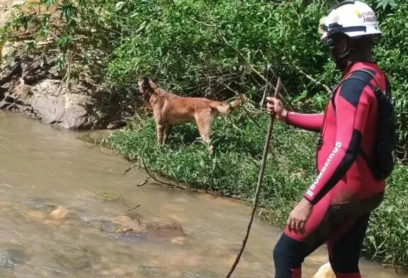 Mulher segue desaparecida após ser arrastada por enxurrada em Vitória da Conquista