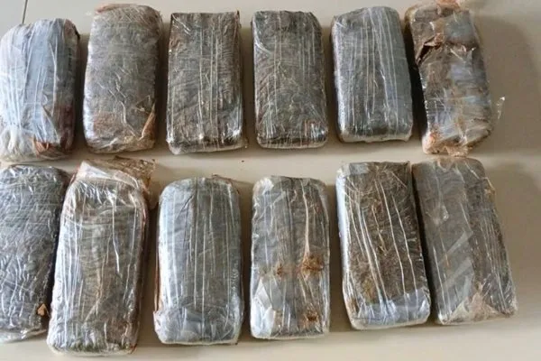 CIPE Sudoeste apreende cerca de 12 kg de maconha em Iuiu