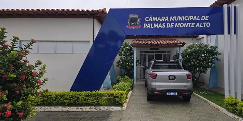 Vereadora deixa sessão após discussão em Palmas de Monte Alto