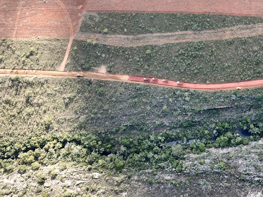  Área na Chapada Diamantina é desmatada com licença irregular