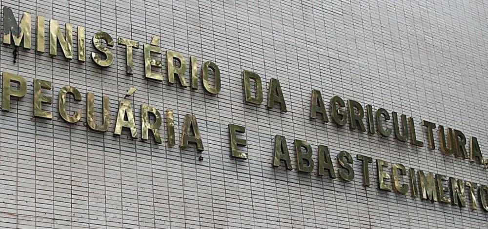 Casos de mal da vaca louca não são risco à produção bovina, diz OIE