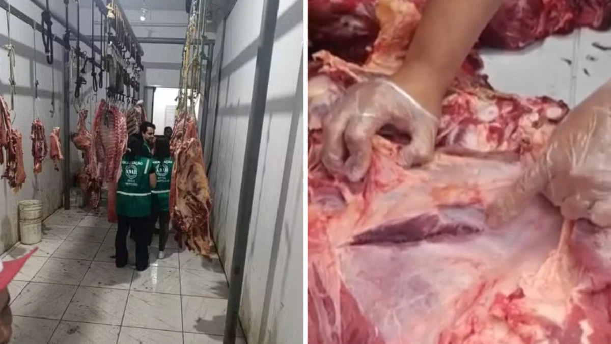 Bahia: Adab apreende carne com sinais de tuberculose prestes a ser vendida em mercado municipal