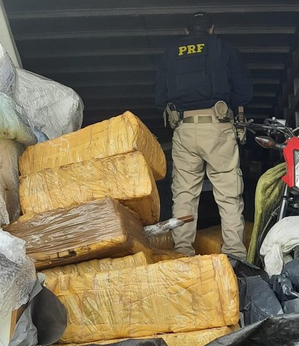 Combate ao tráfico de drogas na Bahia: PRF apreende 4 toneladas de maconha; a maior apreensão do ano