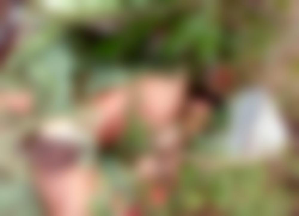 Opinião: Quem nos salvará da violência no Brasil?