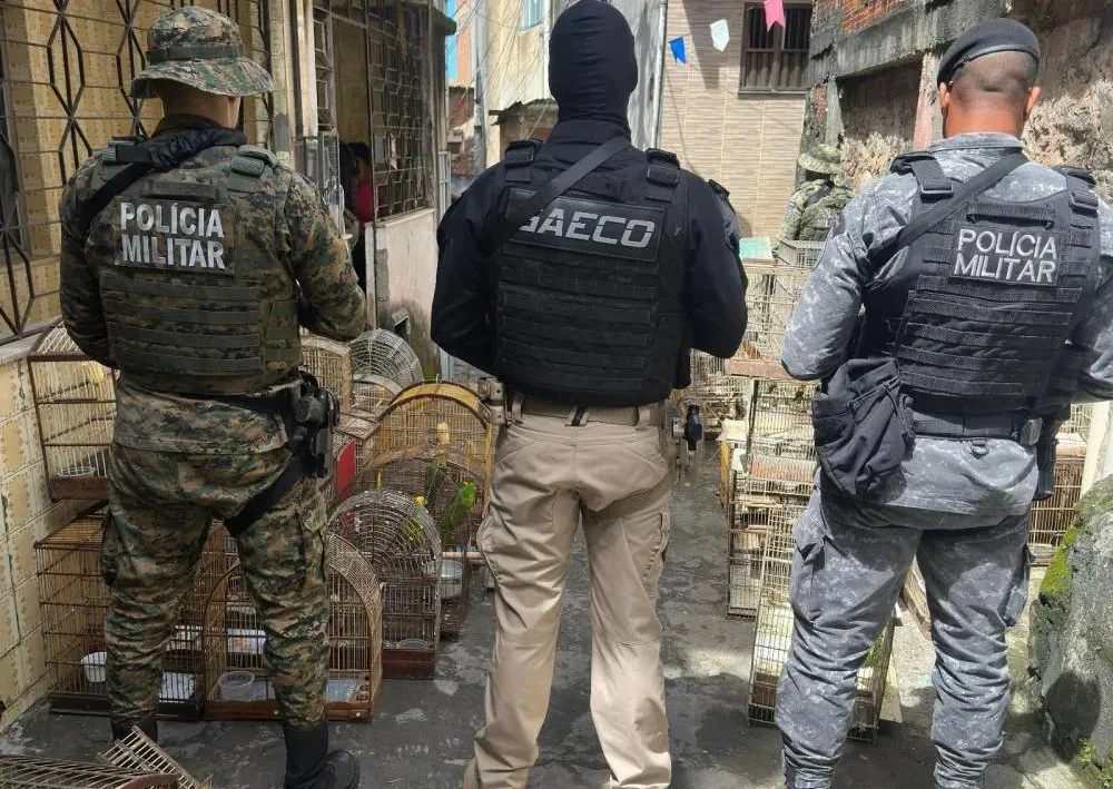 Preso na Bahia um dos maiores traficantes de animais silvestres do país 