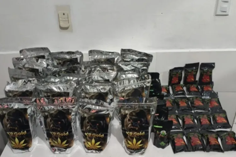 Mulher é presa com drogas em ônibus de turismo na BA-026