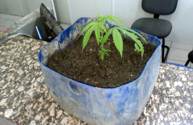 Vitória da Conquista: Homem invade casa e tortura idoso para roubar no Distrito de Inhobim