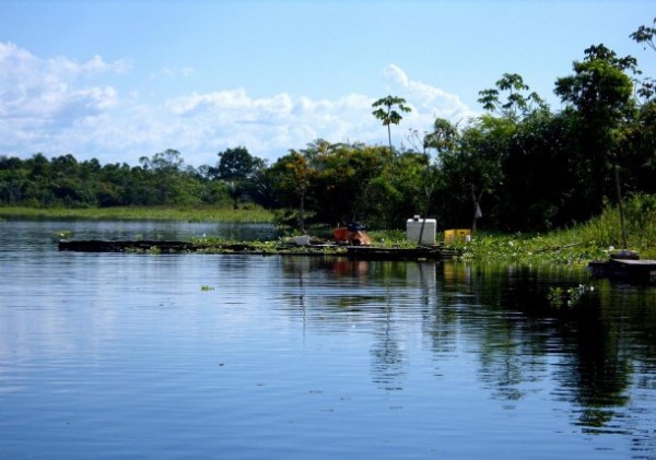 Bacia Amazônica registra menores volumes de chuva em mais de 40 anos