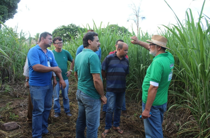 Equipe da Bahiater visita agricultores familiares de Candiba e Pindaí para avaliar propriedades que cultivam cana de açúcar