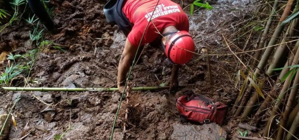 Buscas em Brumadinho chegam a um mês com 177 mortes confirmadas