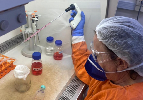 Bahia registra 2.497 casos e 10 mortes por Covid-19 nas últimas 24h