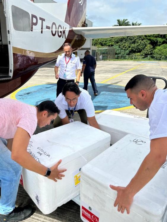 Caetité e mais 9 municípios baianos começam a receber vacina contra dengue