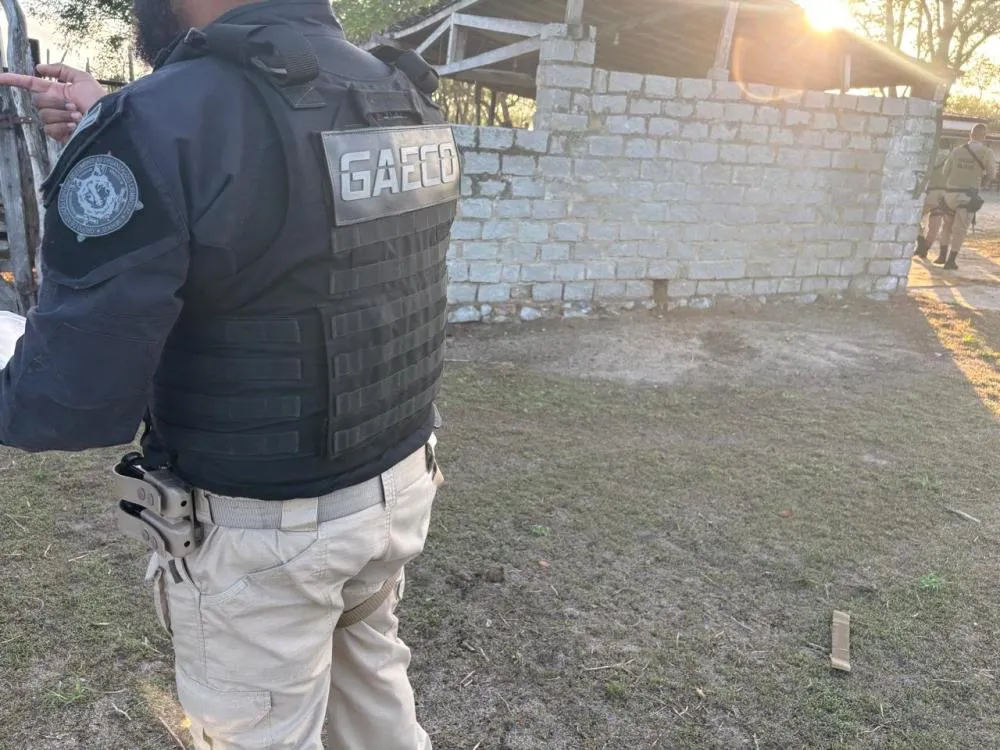 Operação “Fauna Protegida” desarticula rede de tráfico de aves em três estados