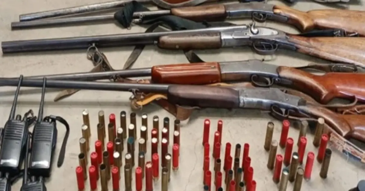 CIPPA apreende armas e equipamentos de caça ilegal em Érico Cardoso