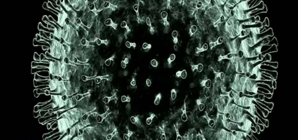 Letalidade do novo coronavírus é maior que a do sarampo e bem menor que a do ebola