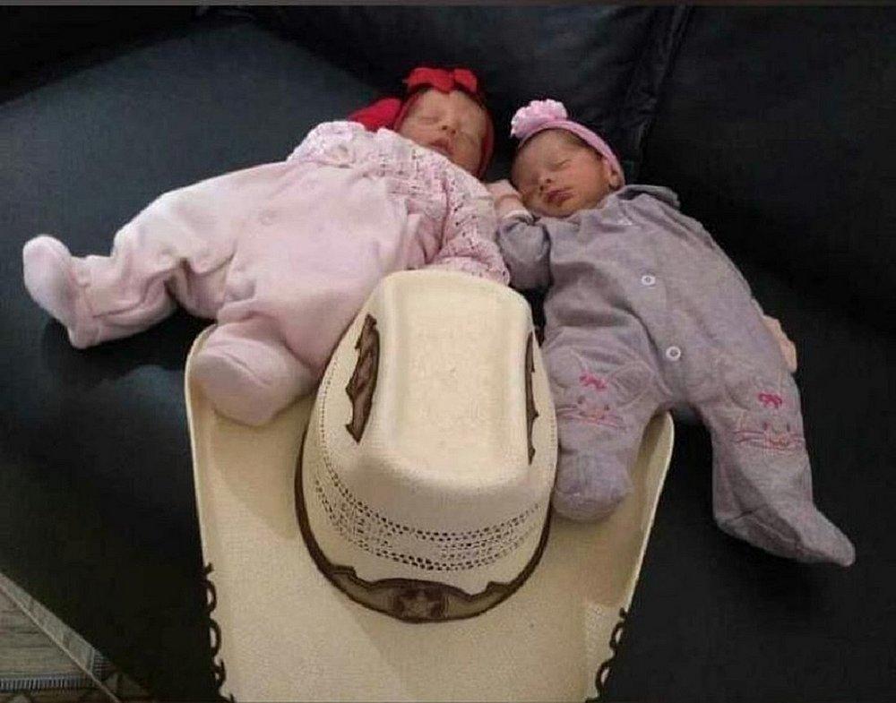 Região: Gêmeas que morreram após serem atacadas por cachorro nasceriam no dia da tragédia, mas parto ocorreu de forma prematura